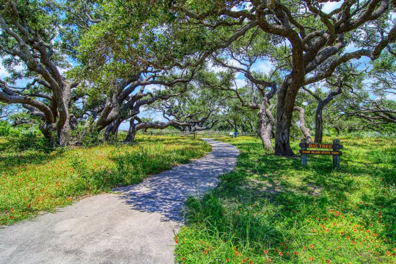 Coastal Hideway #B Villa Rockport Exteriör bild